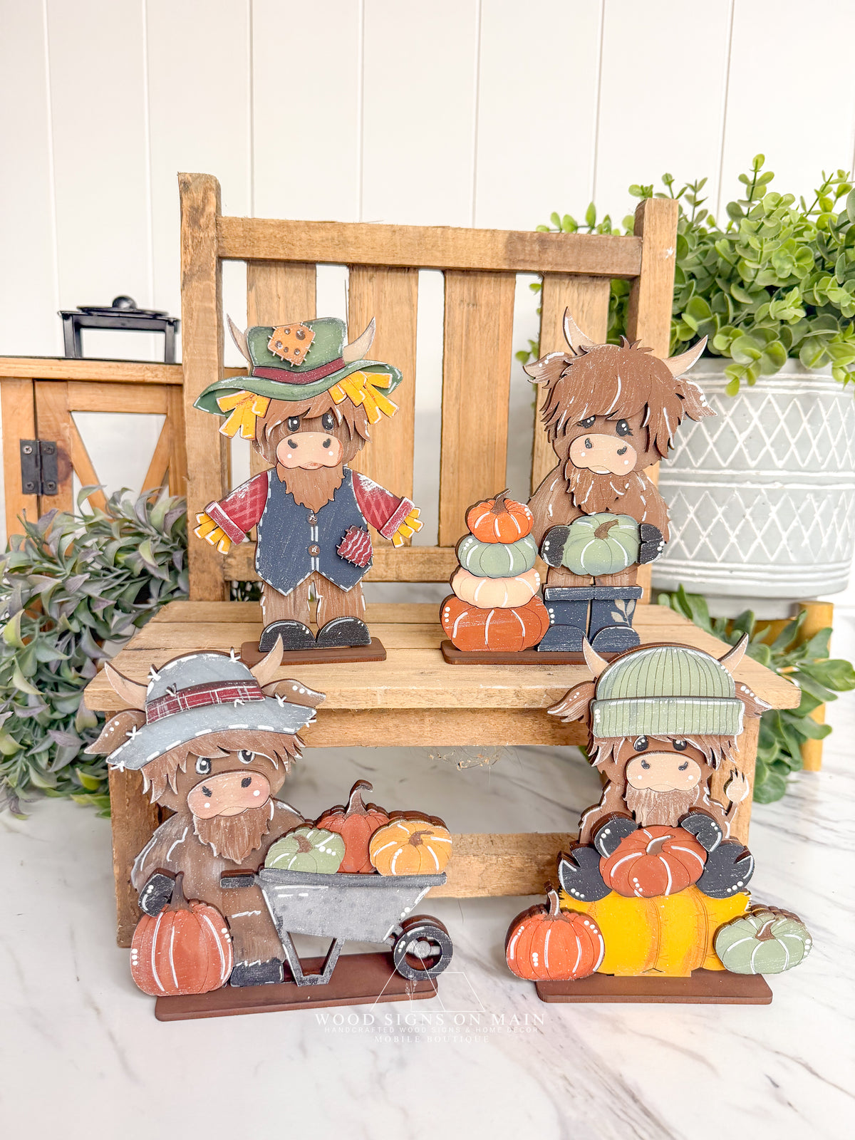 Fall Highland cows